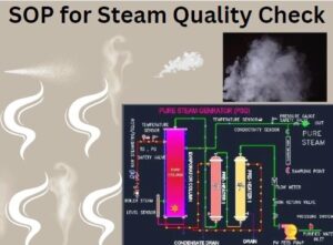 Steam Quality Check