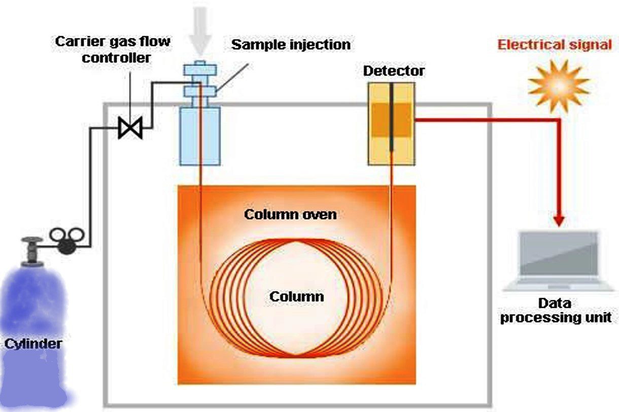 Gas Chromatography Gc Principle 2024 Flair Pharma The Knowledge Kit