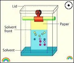 Paper Chromatography
