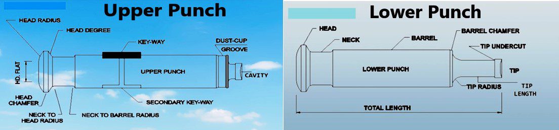 Tooling In Compression Machine » Flair Pharma The Knowledge Kit.