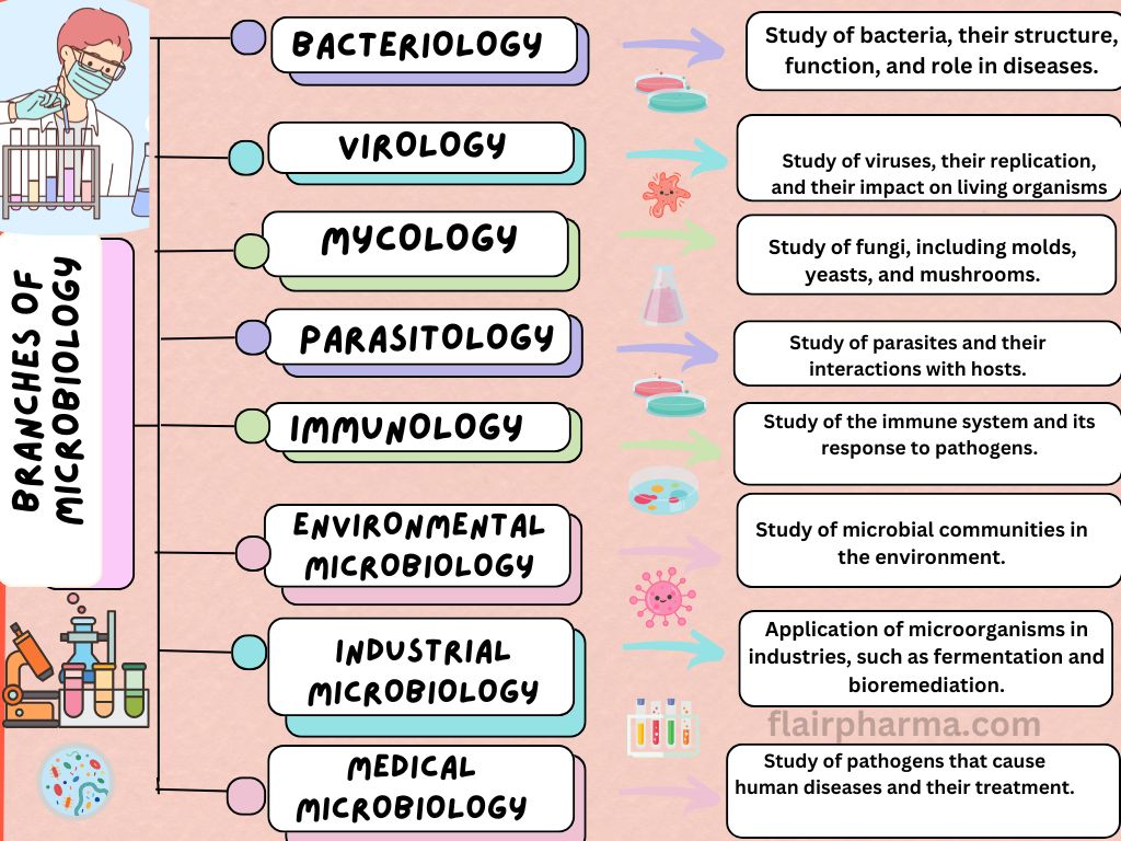 branches of microbiology