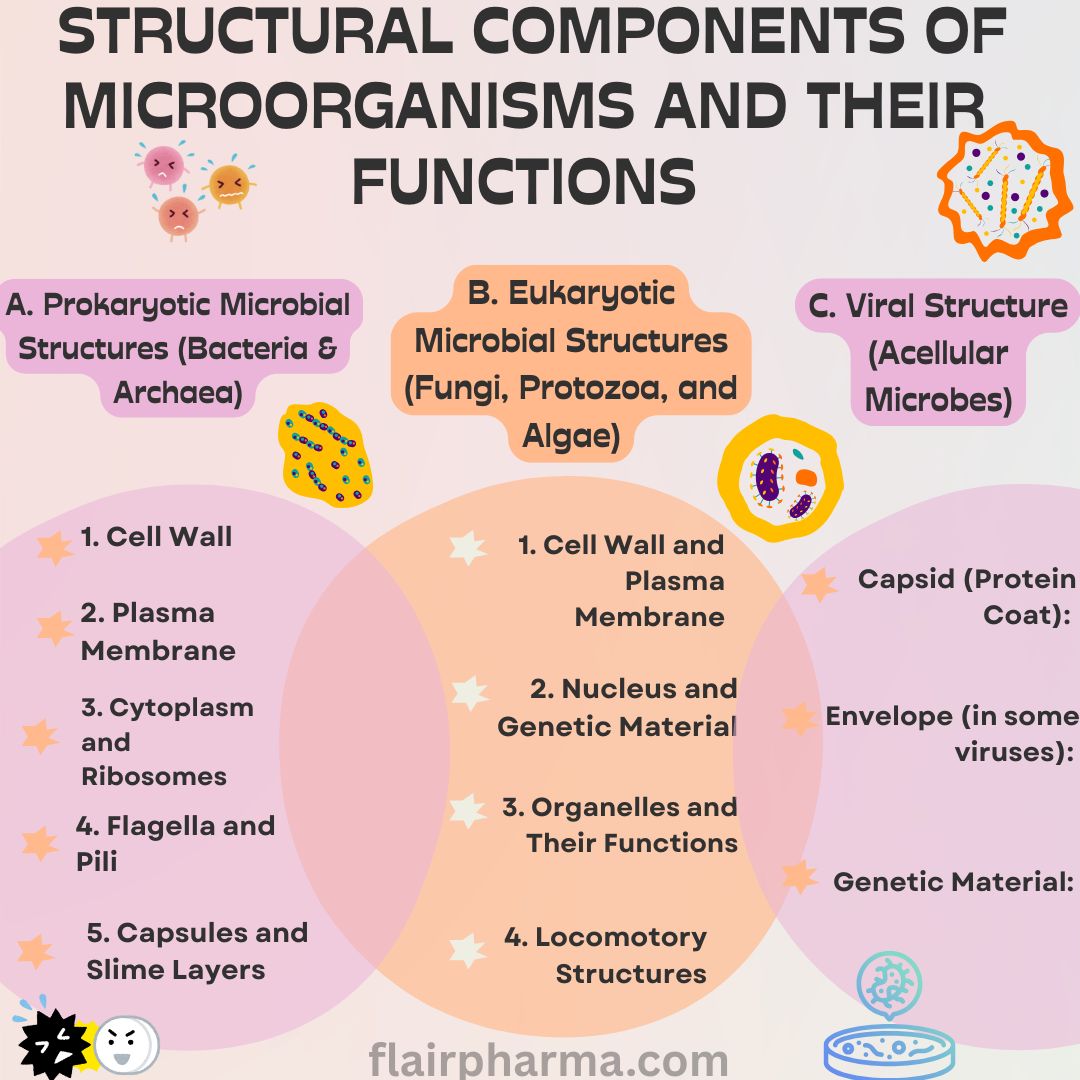 Structural Components of Microorganisms and their Functions